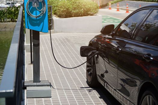 Electric cars are charging electricity to store in car batteries. Electric cars have become popular around the world To reduce air pollution.