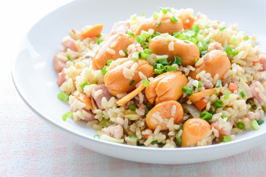 Smoked Sausage Fried Rice, a quick fried rice for simple, yet immensely satisfying meal on a cold day.