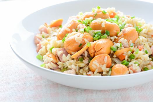 Smoked Sausage Fried Rice, a quick fried rice for simple, yet immensely satisfying meal on a cold day.