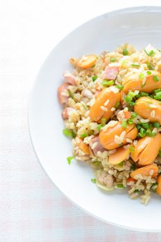 Smoked Sausage Fried Rice, a quick fried rice for simple, yet immensely satisfying meal on a cold day.