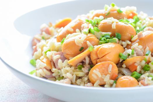 Smoked Sausage Fried Rice, a quick fried rice for simple, yet immensely satisfying meal on a cold day.