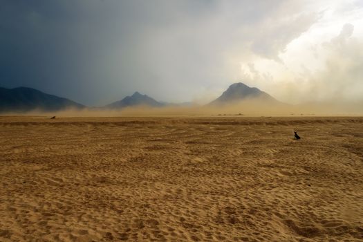 Sandstorm raging over the bank of Mahanadi river during dusk, surrounded by Eastern Ghat mountain range, copy space
