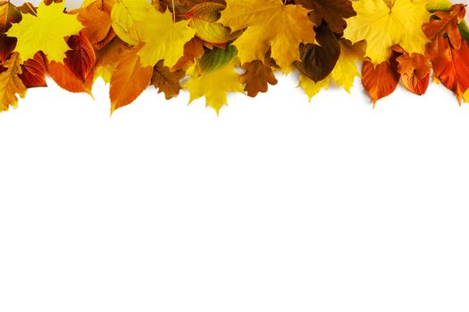Colorful autumn leaves frame isolated on white background copy space for text