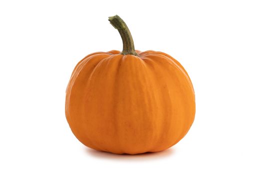 One perfect pumpkin isolated on white background