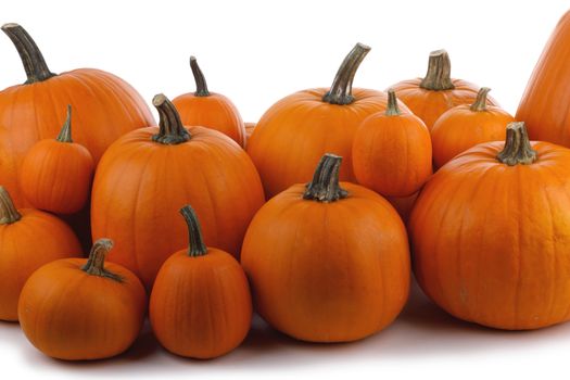 Heap of many orange pumpkins isolated on white background , Halloween concept