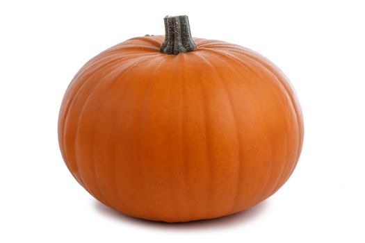 One perfect pumpkin isolated on white background