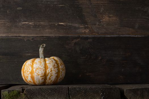 One orange pumpkin on dark wooden background, Halloween concept