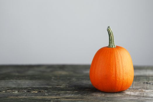 One orange pumpkin on old wooden table over gray background, Halloween concept