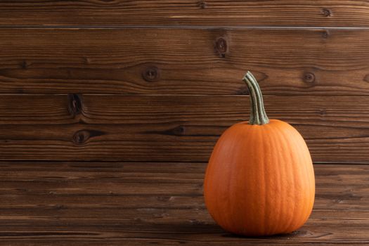 One orange pumpkin on dark wooden background with copy space for text , Halloween concept