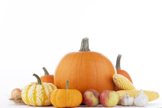 Autumn harvest still life with pumpkins , wheat ears , apples , garlic , onion isolated on wooden background