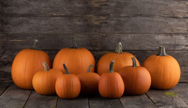 Many orange pumpkins on dark wooden background, Halloween concept