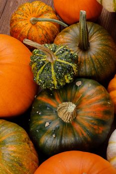 Assortiment of autumn harvested pumpkins in a heap background , Halloween holiday concept
