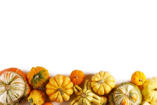 Assortiment of autumn harvested pumpkins in a heap isolated on white background , Halloween holiday concept , border frame stripe design element with copy space for text