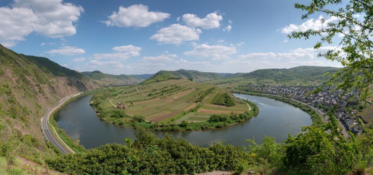 Panoramic image of the Moselle river loop close to Bremm, Germany
