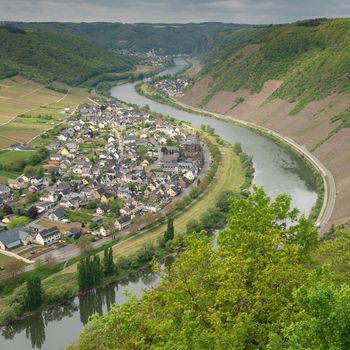 Panoramic image of the Moselle village Ernst close to Cochem on a dully day in springtime, Germany