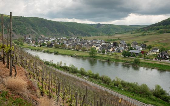 Panoramic image of the Moselle village Ernst close to Cochem on a dully day in springtime, Germany