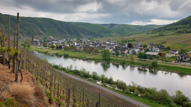 Panoramic image of the Moselle village Ernst close to Cochem on a dully day in springtime, Germany