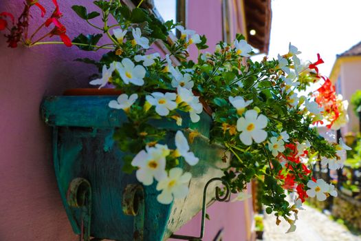 Various flowers in hanging baskets on a house wall