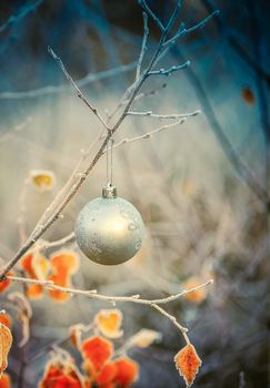 Christmas ball hanging on a branch of a birch tree in the winter forest