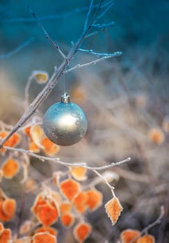 Christmas ball hanging on a branch of a birch tree in the winter forest