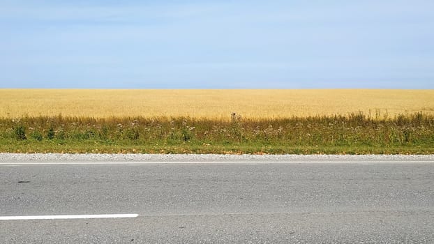 Fragment of an asphalt road passing near the field. Autumn landscape.