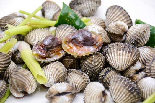 Boiled cockles or scallops with seafood sauce