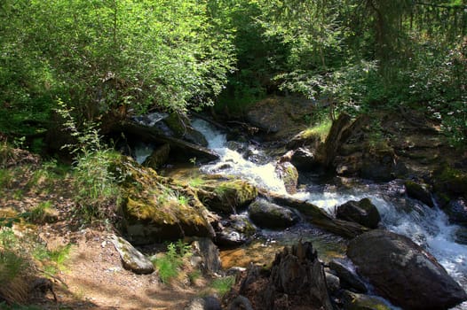 The rapid stream of the mountain river goes around the dumped trees and stones on its way. Altai, Siberia, Russia.