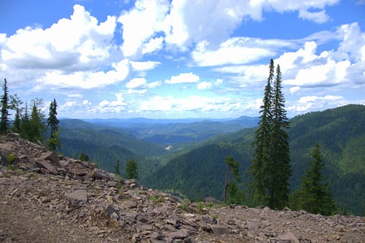 Lonely pine trees on top of a rocky mountain with a gorgeous view of mountain ranges under the clouds. Altai, Siberia, Russia.