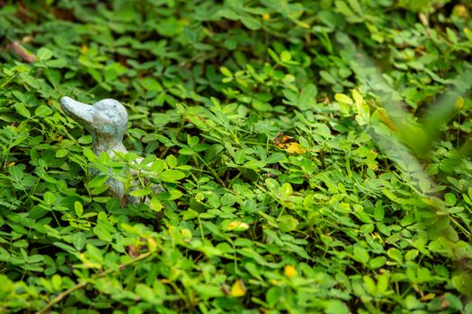 A duck statue decorated in green garden, Selective focus