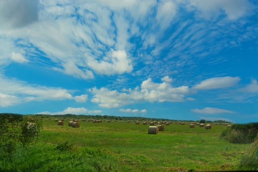 Hay bales in golden field landscape, panorama