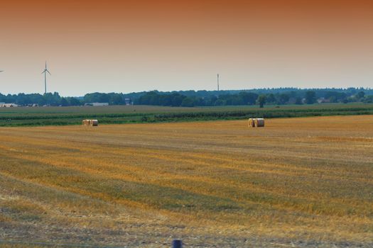 Big hay bales on a field after the harvest