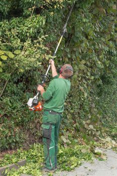 Cutting a hedge with a hedge trimmer motor.