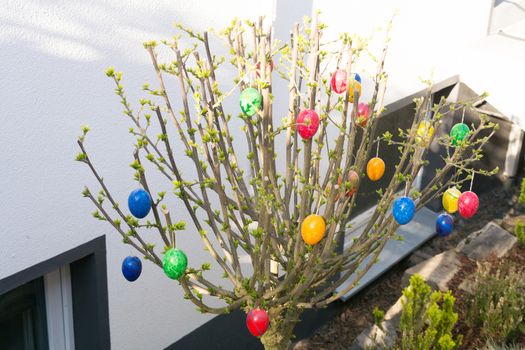 Colored easter eggs on willow bouquet with kitten willows