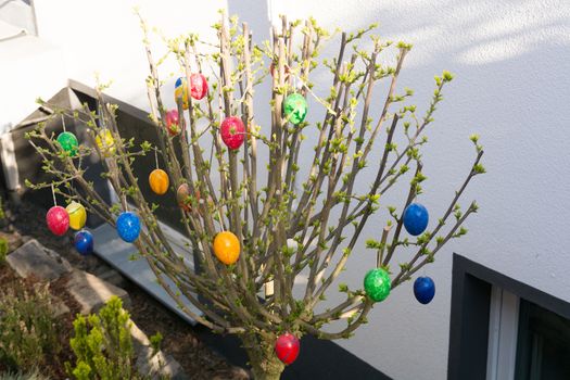 Colored easter eggs on willow bouquet with kitten willows