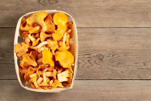 Group of edible forest chanterelle mushrooms in a wooden box of veneer on a old wooden background. Place for text, copy space.