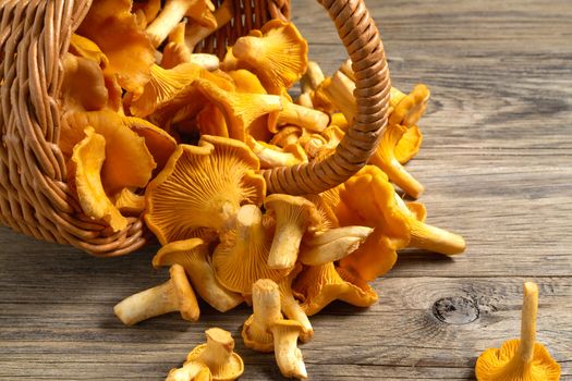 Wicker basket with chanterelles over an old wooden table, close up.