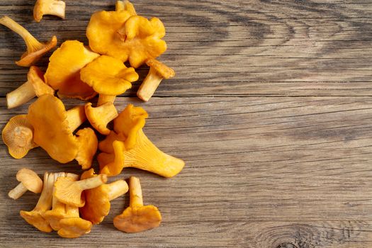 Bunch of chanterelles on an old wooden table, place for text, copy space.