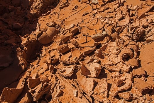 Curly dried mud photographed in Dryfork Slot Canyon near the town Escalante in Utah