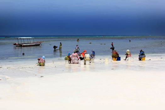 Nungwi, Zanzibar, Tanzania - January 11, 2016:  African women in traditional dress on the beach of village Nungwi. Zanzibar, Tanzania