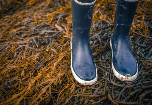 Retro Style Photo Of Wet Rubber Boots Walking On Seaweed On A Beach With Copy Space