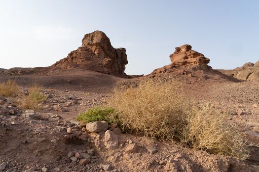 Hiking in desert nature landscape for health and vacation