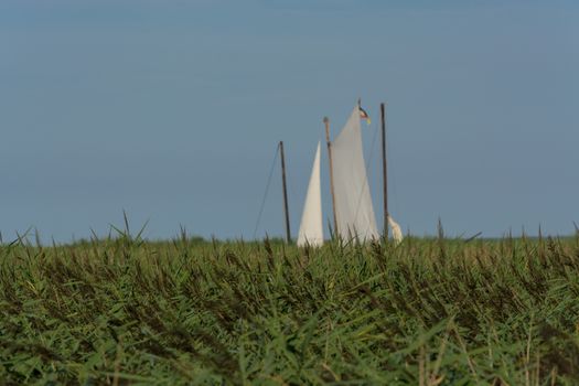 Wooden boat on the shore of a lake in the reeds              