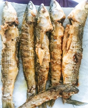Close-Up Of Fried Fish - Flathead Grey Mullet