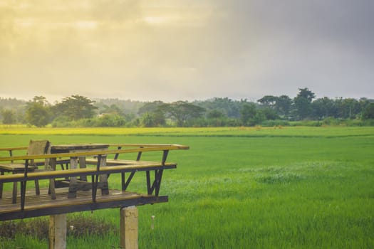 Green background sunrise in Chiang Rai, Thailand.