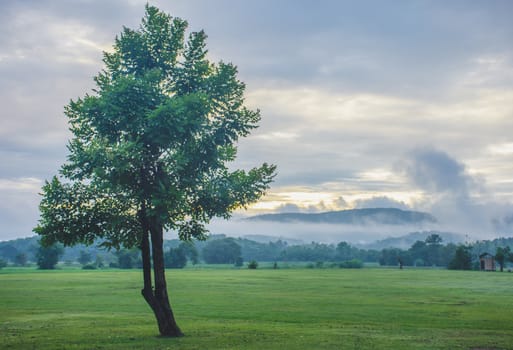 Green background sunrise in Chiang Rai, Thailand.