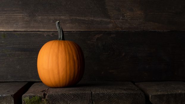 One orange pumpkin on dark wooden background with copy space for text , Halloween concept