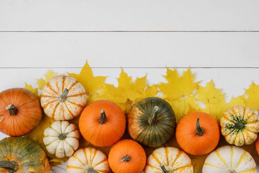 Many colorful pumpkins and maple leaves frame on wooden background , autumn harvest , Halloween or Thanksgiving concept