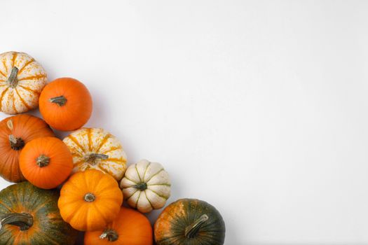 Many orange pumpkins isolated on white background , Halloween concept , top view with copy space