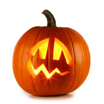 One Halloween Pumpkin isolated on white background