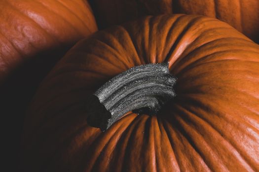 Many orange pumpkins background , Halloween holiday concept